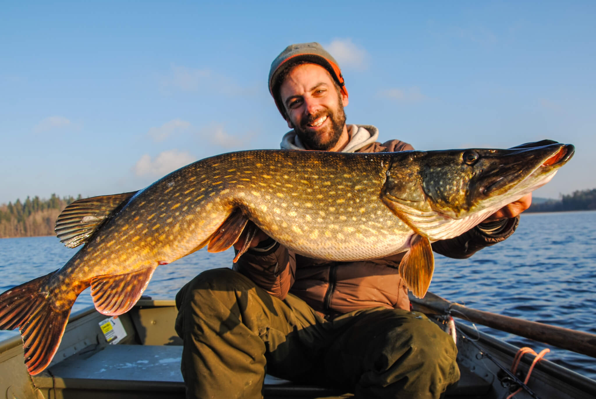 Pike Sweden
